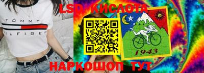 гашик Кунгур