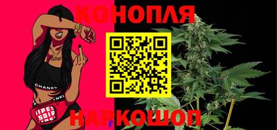 гашик Кунгур