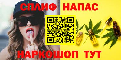 гашик Кунгур