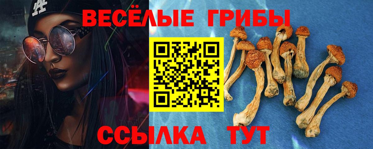 Галлюциногенные грибы Psilocybe Гагарин